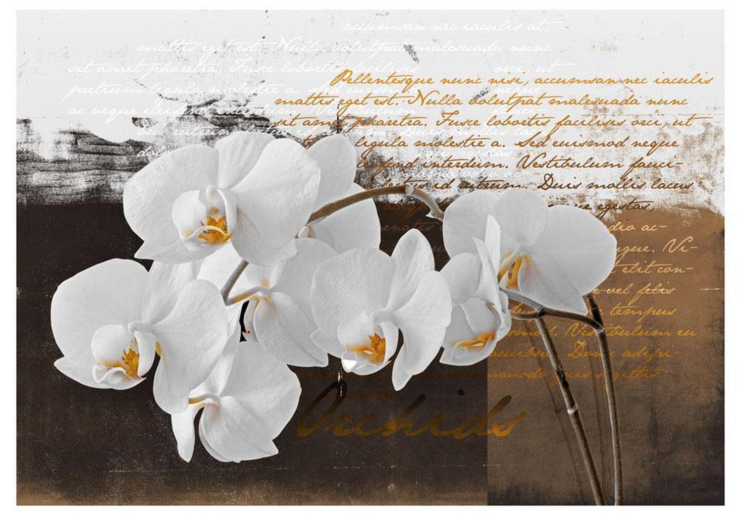 Floral Wallpaper Wall Mural - Sentimental Thoughts