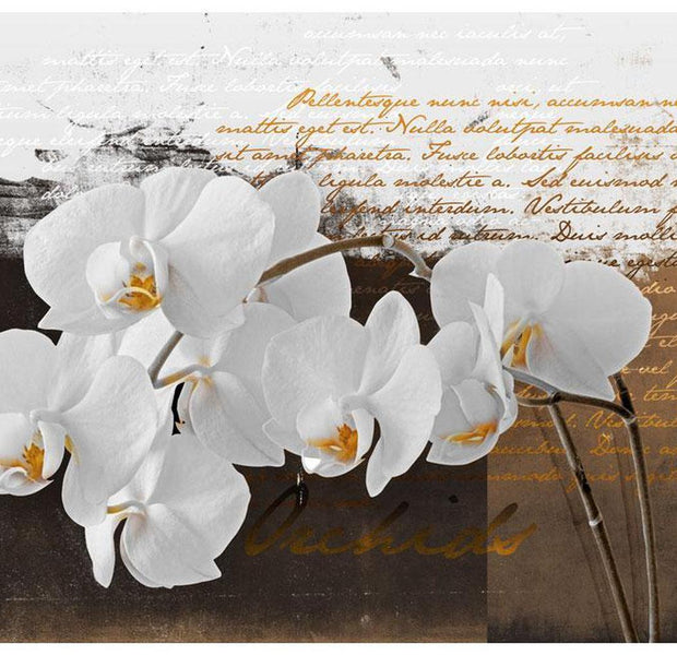 Floral Wallpaper Wall Mural - Sentimental Thoughts