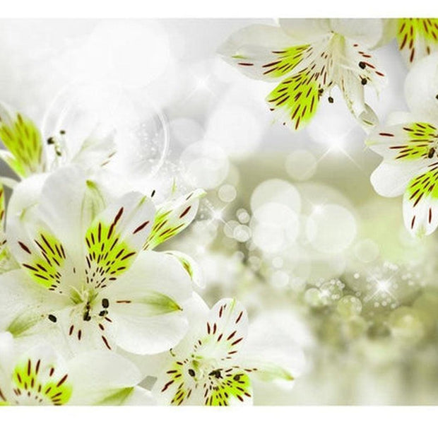 Floral Wallpaper Wall Mural - Southern Princess