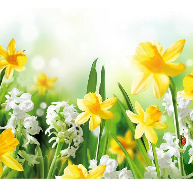 Floral Wallpaper Wall Mural - Spring Walk