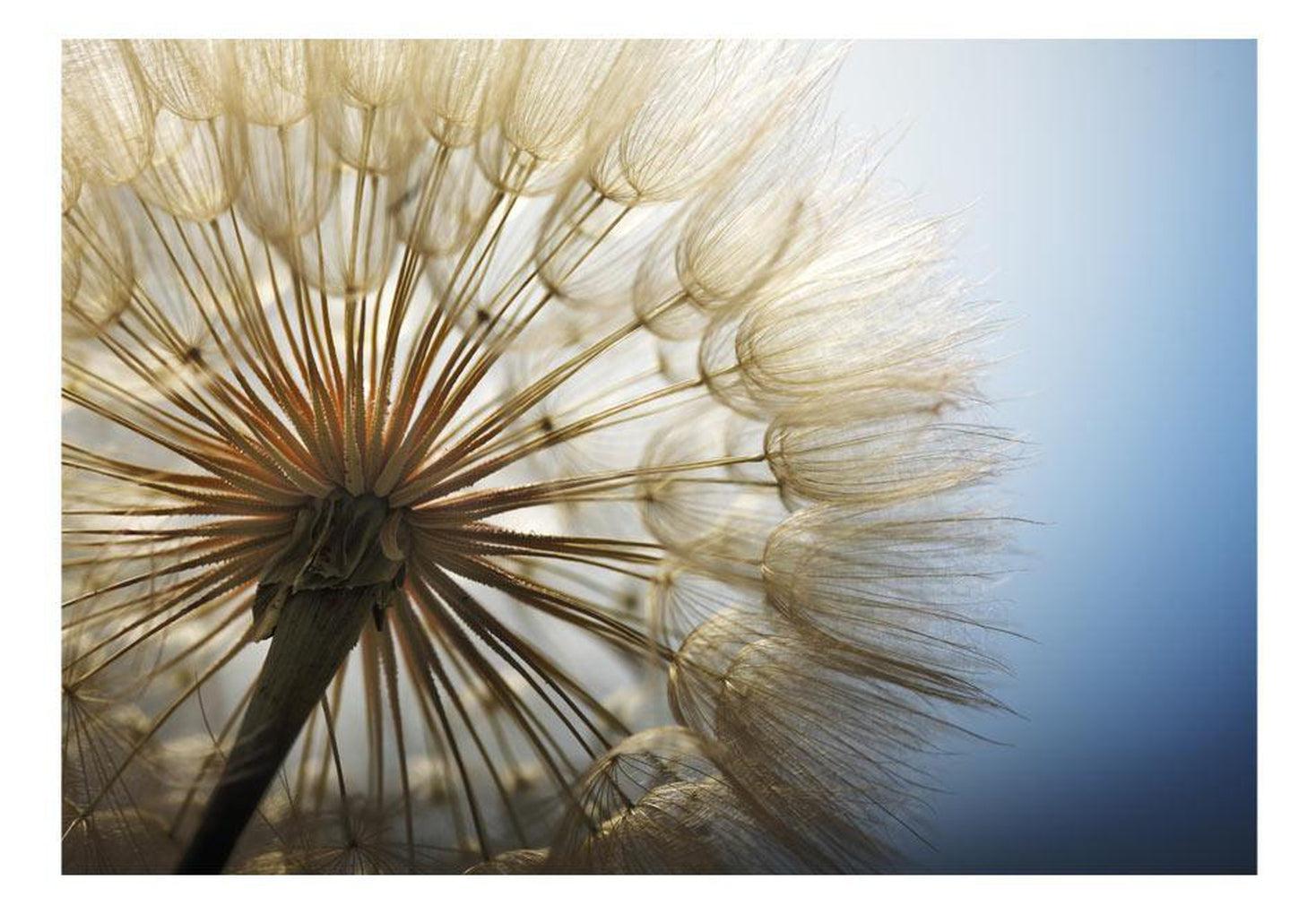 Floral Wallpaper Wall Mural - Summer Dandelion Delight