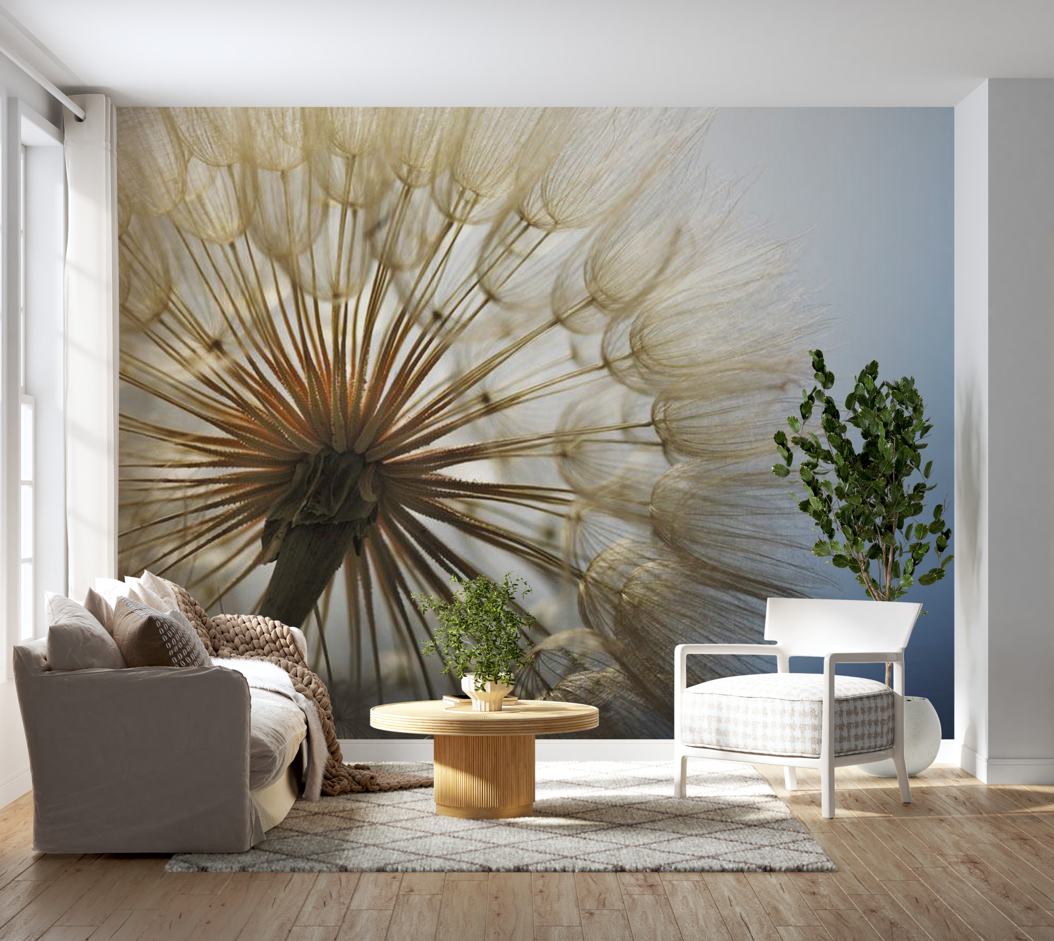 Floral Wallpaper Wall Mural - Summer Dandelion Delight