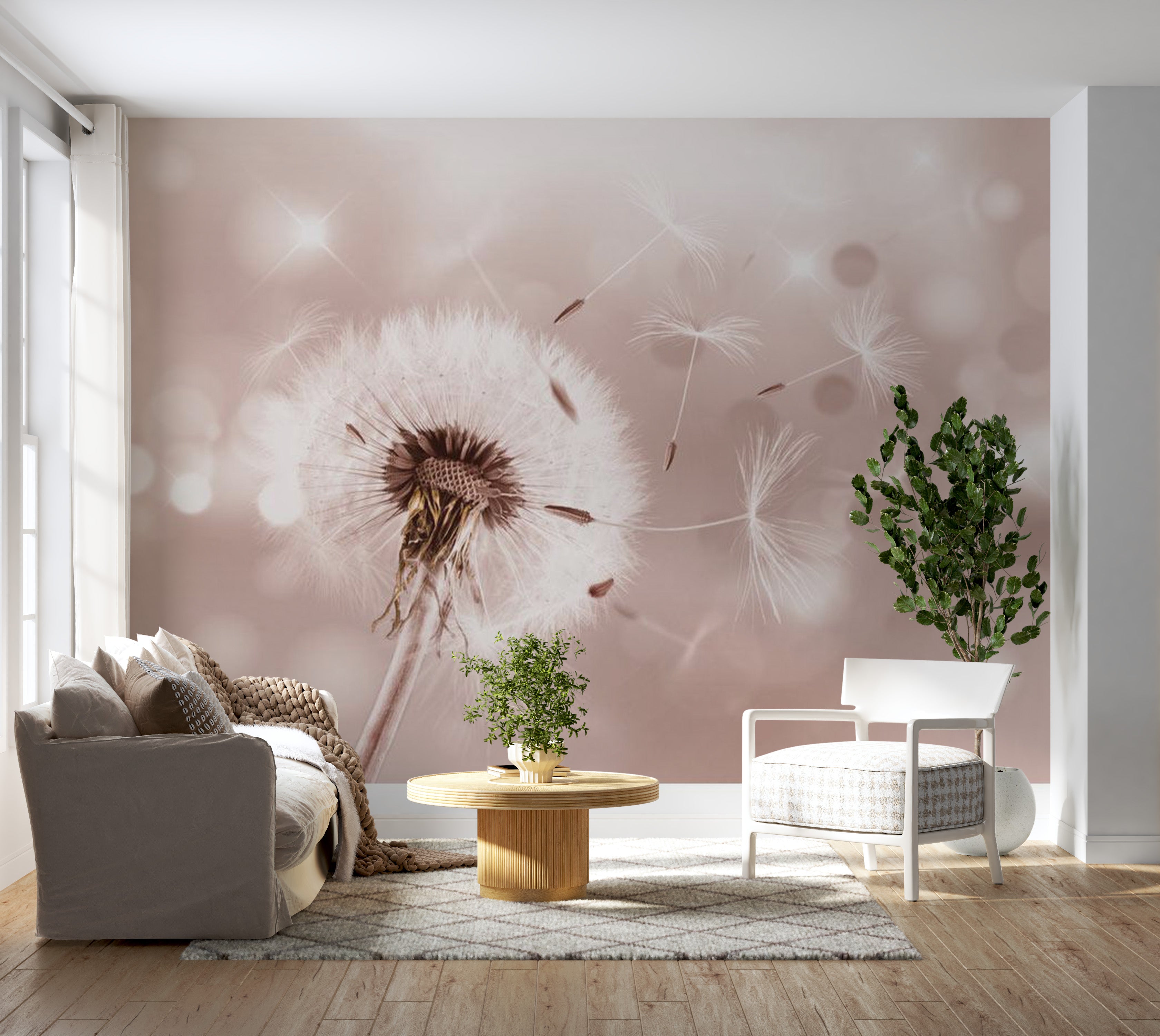 Floral Wallpaper Wall Mural - Summer Fantasy Dandelion