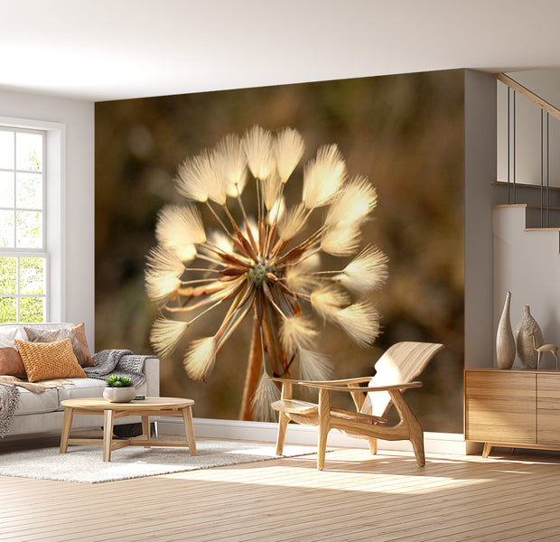Floral Wallpaper Wall Mural - Summer Time Dandelion