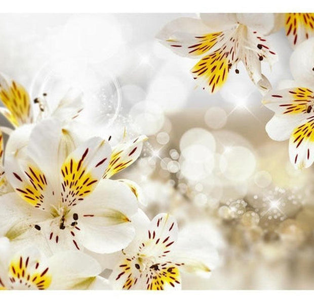 Floral Wallpaper Wall Mural - Sunny Alstroemeria