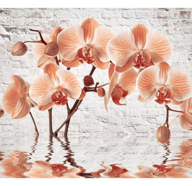Floral Wallpaper Wall Mural - The Orange Arc