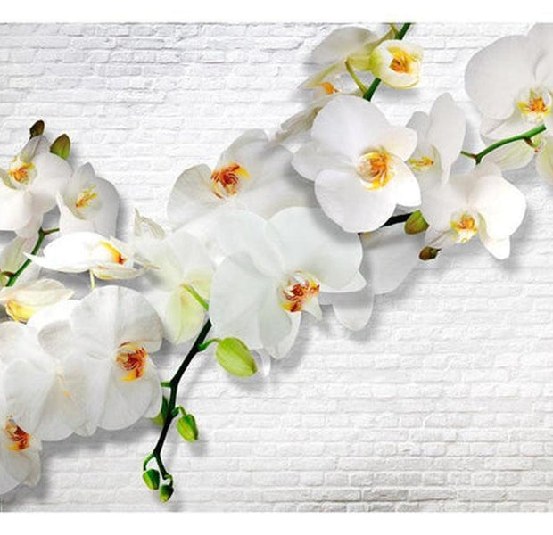 Floral Wallpaper Wall Mural - The Urban Orchid