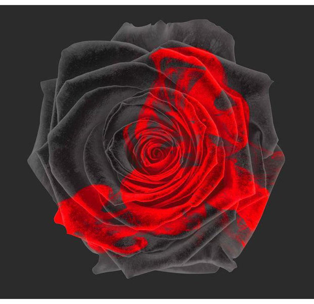 Floral Wallpaper Wall Mural - Transformation