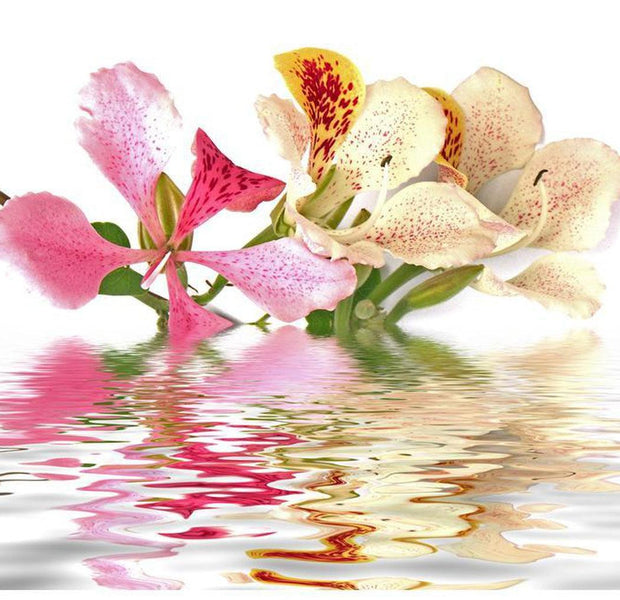 Floral Wallpaper Wall Mural - Tropical Flowers - Orchid Tree Bauhinia