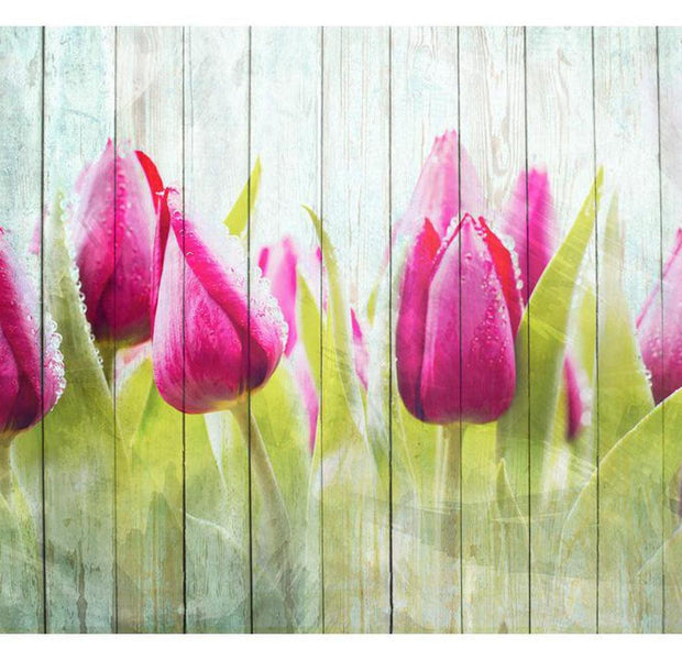 Floral Wallpaper Wall Mural - Tulips On White Wood