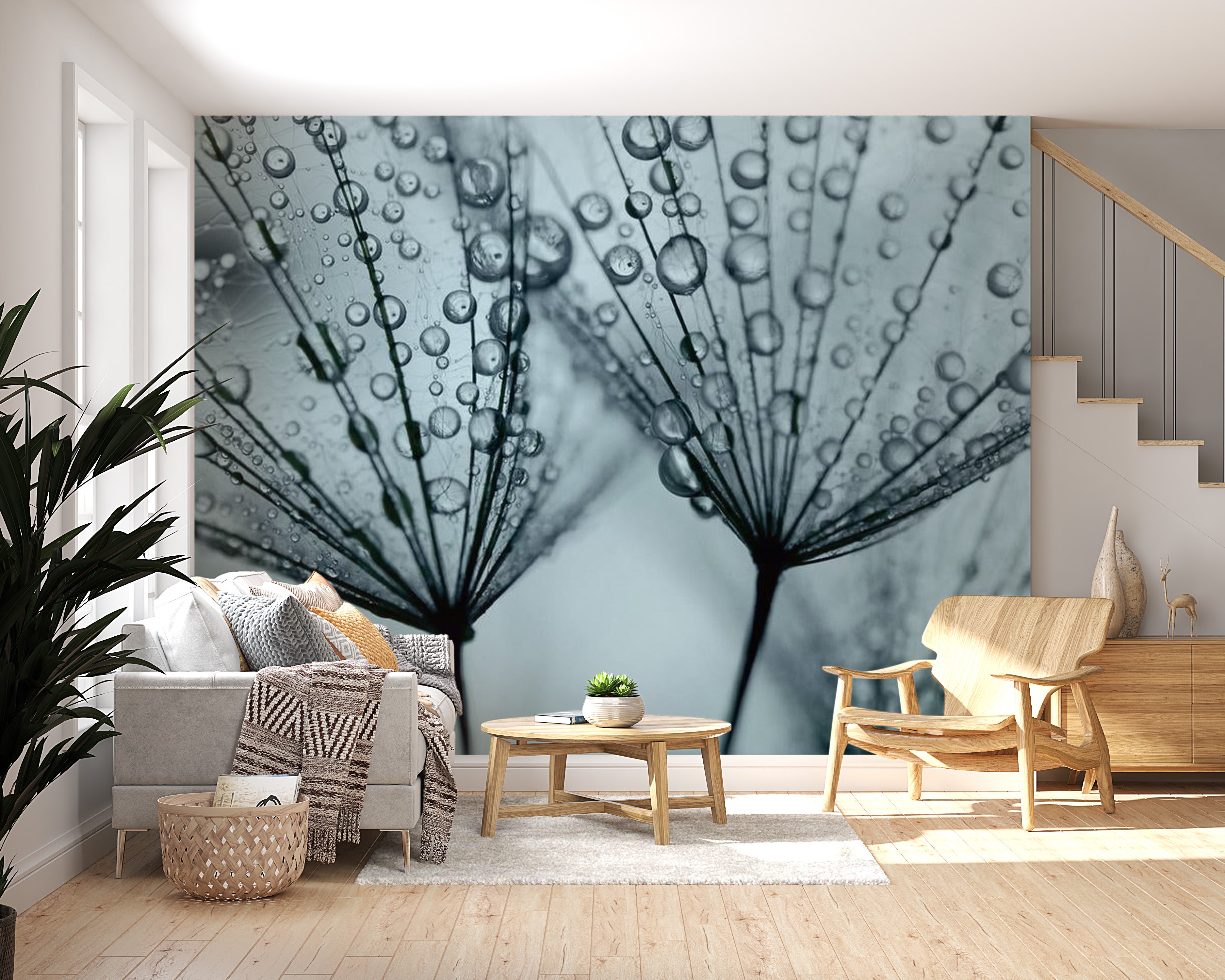 Floral Wallpaper Wall Mural - Dandelion Raindrops