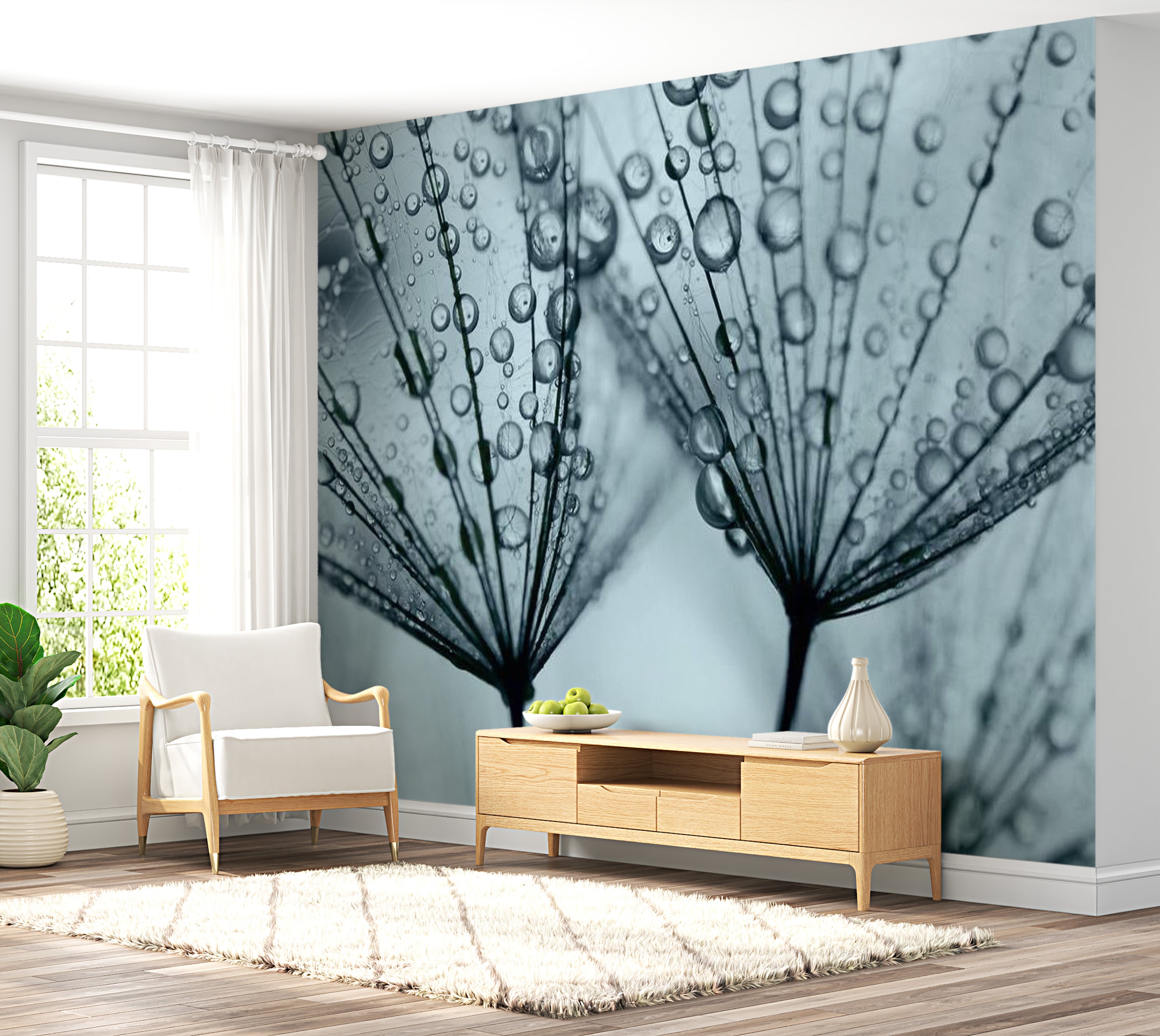 Floral Wallpaper Wall Mural - Dandelion Raindrops