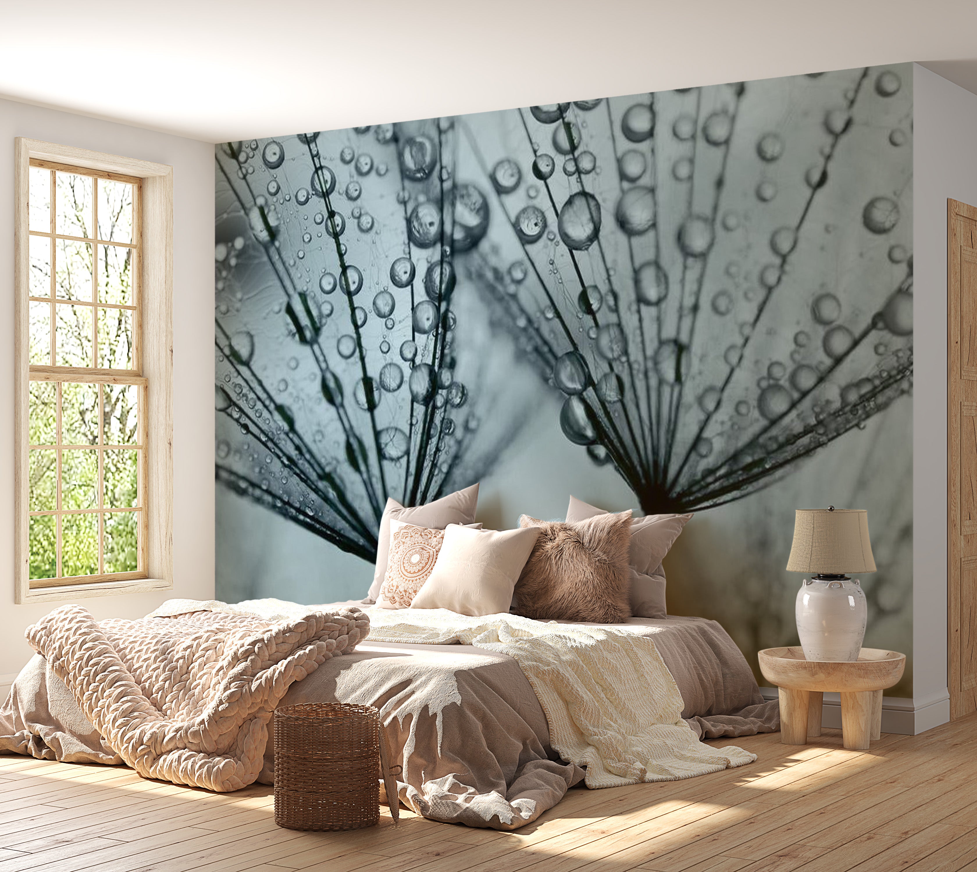 Floral Wallpaper Wall Mural - Dandelion Raindrops