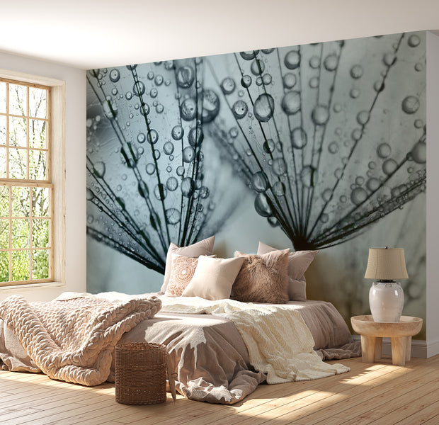 Floral Wallpaper Wall Mural - Dandelion Raindrops