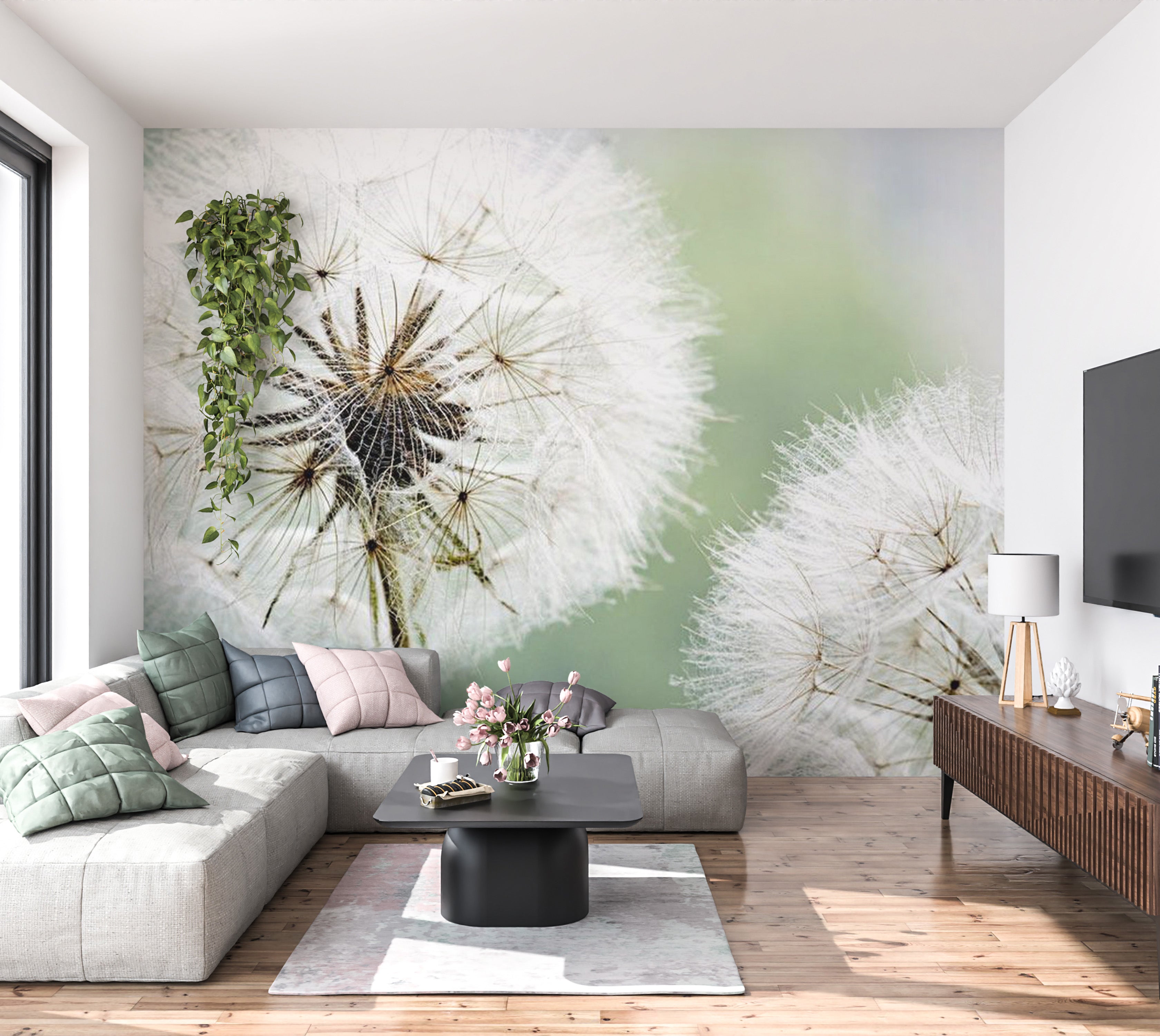 Floral Wallpaper Wall Mural - Two Dandelions