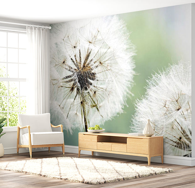Floral Wallpaper Wall Mural - Two Dandelions