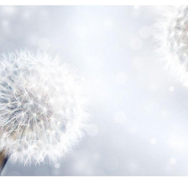 Floral Wallpaper Wall Mural - Flowing Dandelions