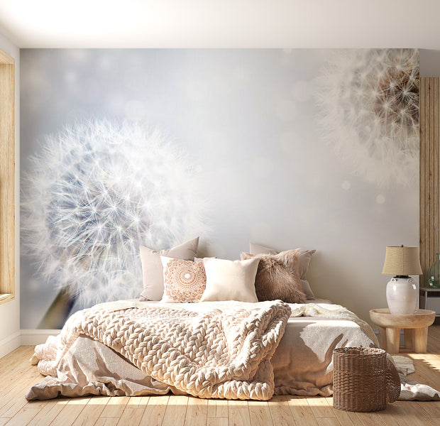 Floral Wallpaper Wall Mural - Flowing Dandelions