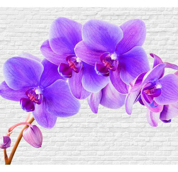 Floral Wallpaper Wall Mural - Violet Excitation
