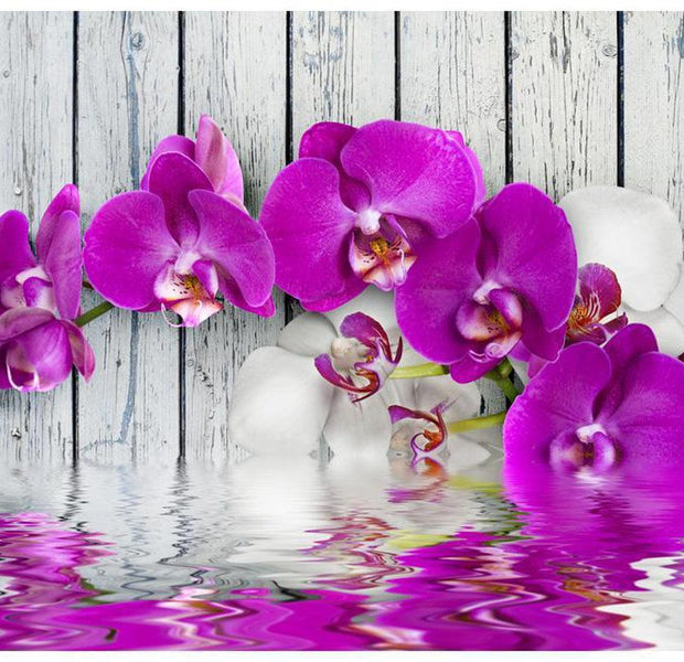 Floral Wallpaper Wall Mural - Violet Orchids With Water Reflexion