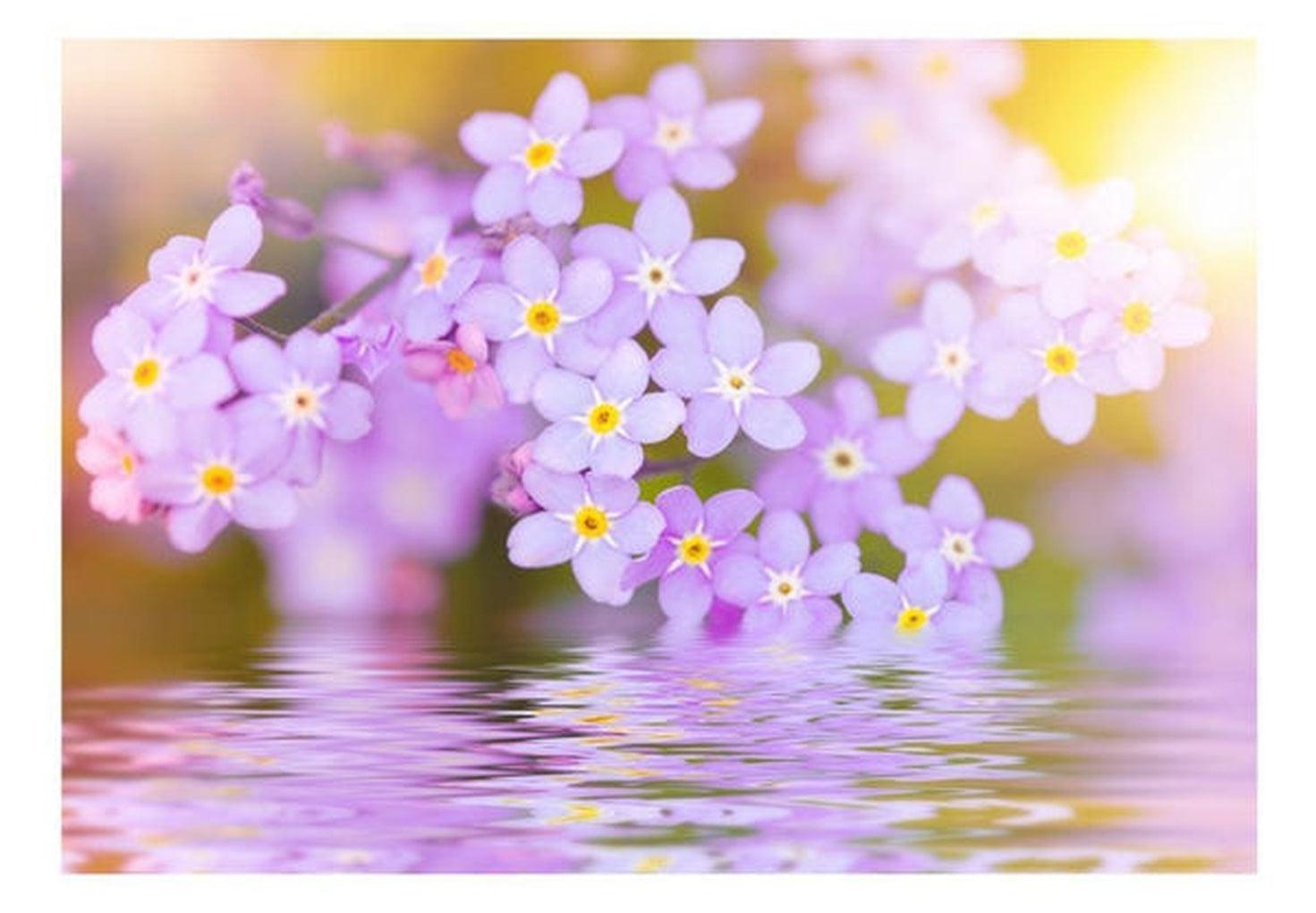 Floral Wallpaper Wall Mural - Violet Petals In Bloom