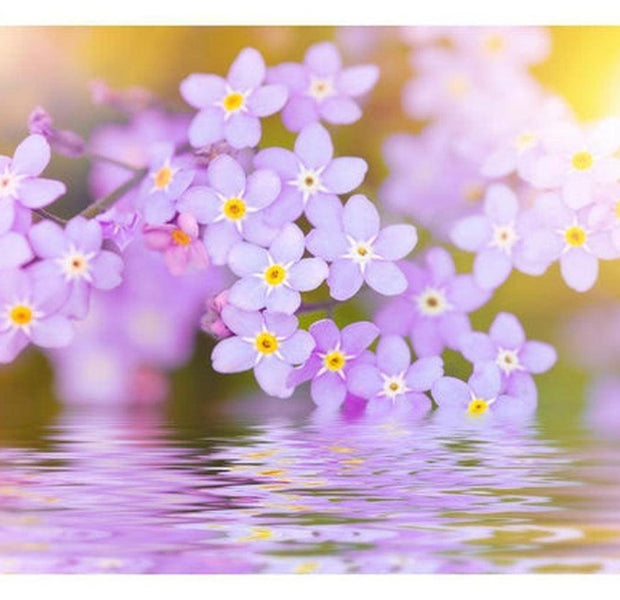 Floral Wallpaper Wall Mural - Violet Petals In Bloom