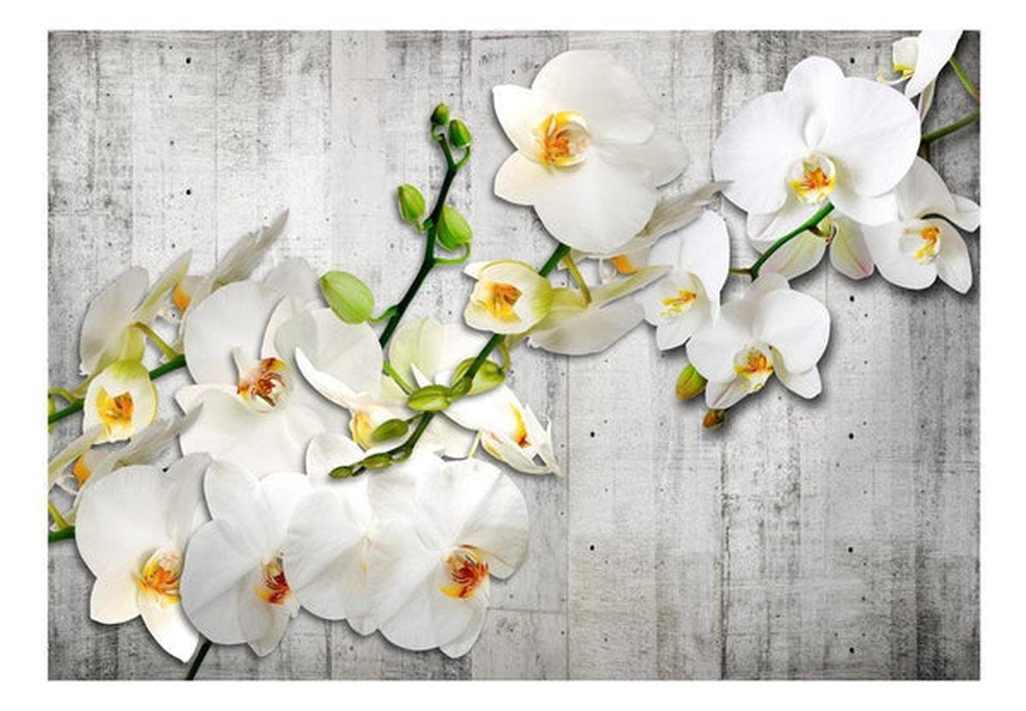 Floral Wallpaper Wall Mural - With Saffron Accent