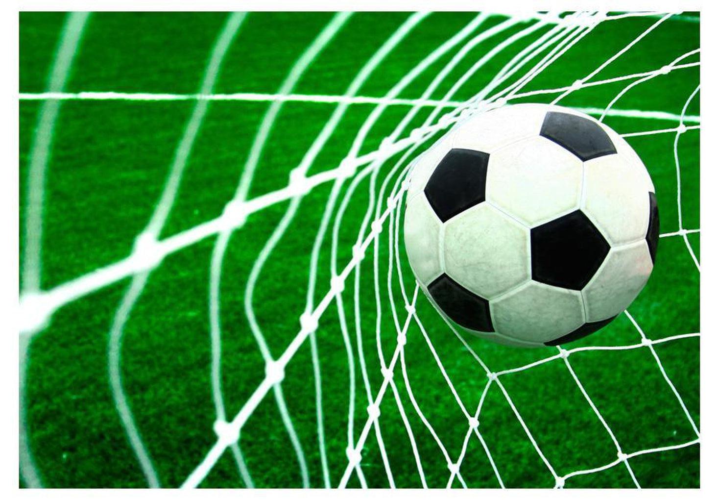 Football Wallpaper Wall Mural - Ball In Goal