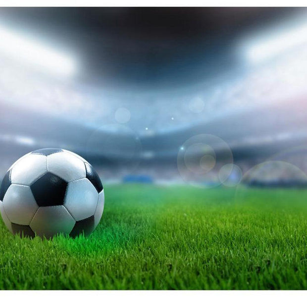 Football Wallpaper Wall Mural - World Championship