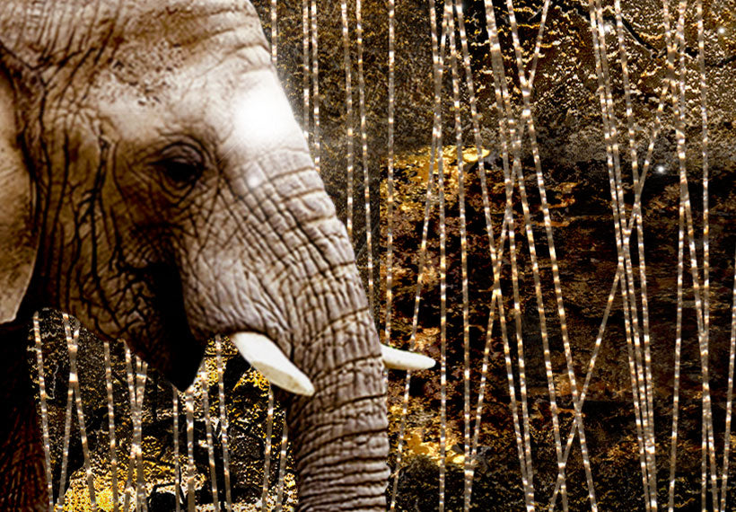 Animal Canvas Wall Art - Elephants At Night - 5 Pieces