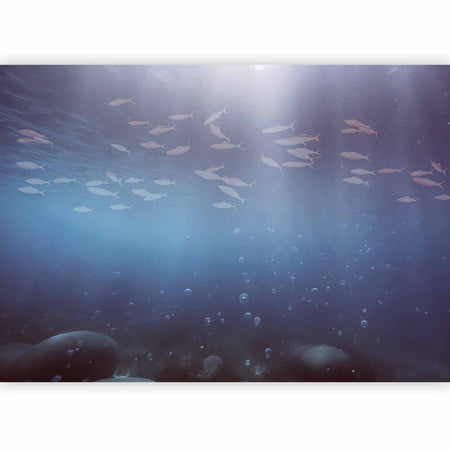 Premium Animal Wall Mural - Fish In The Depths