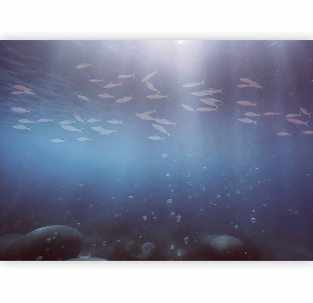 Premium Animal Wall Mural - Fish In The Depths