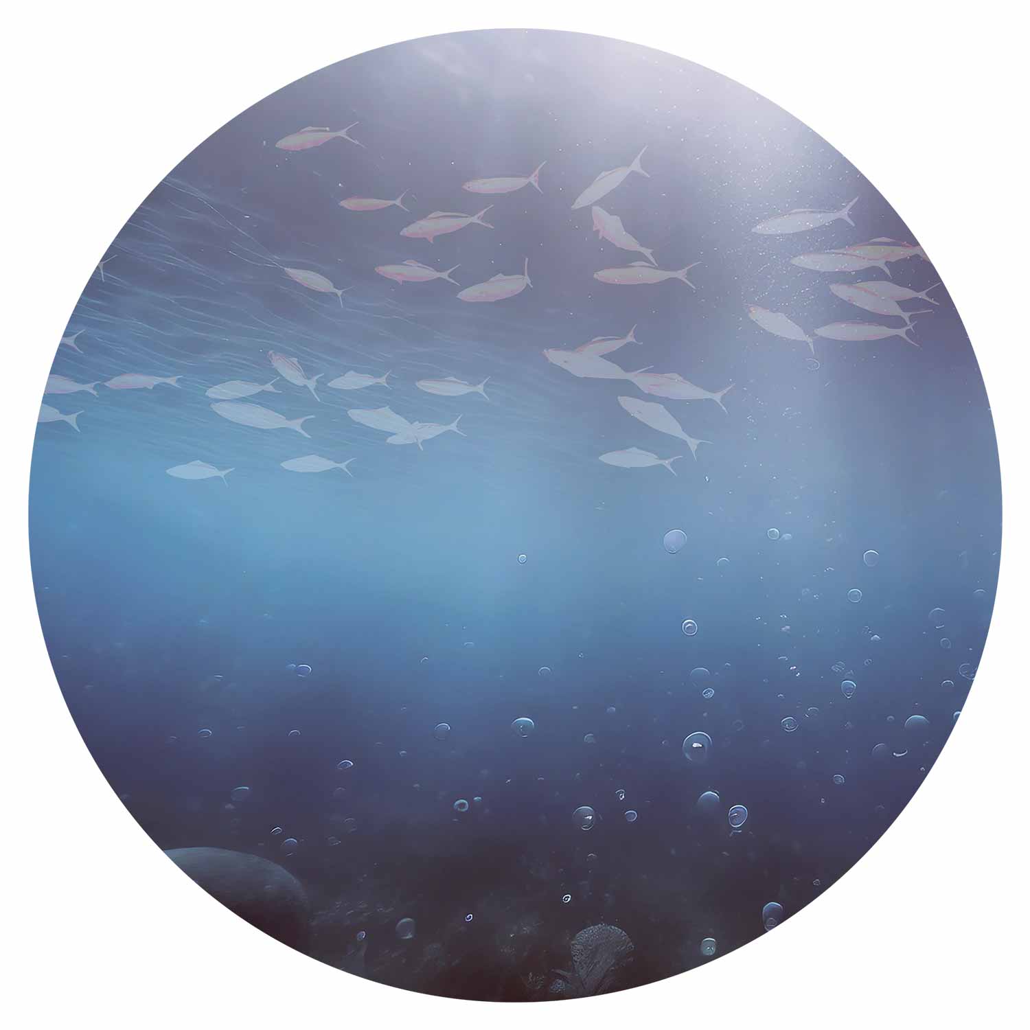 Round Wall Mural - Fish In The Depths