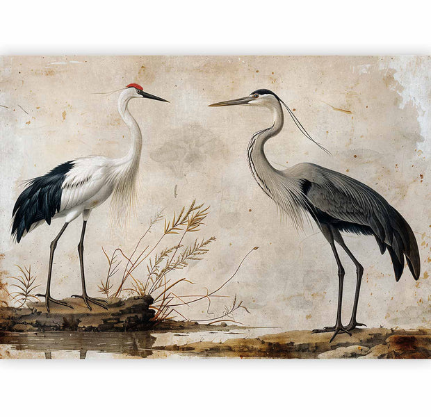 Premium Animal Wall Mural - Birds From An Old Engraving - Vintage-Style Illustration Depicting A Heron And A Crane