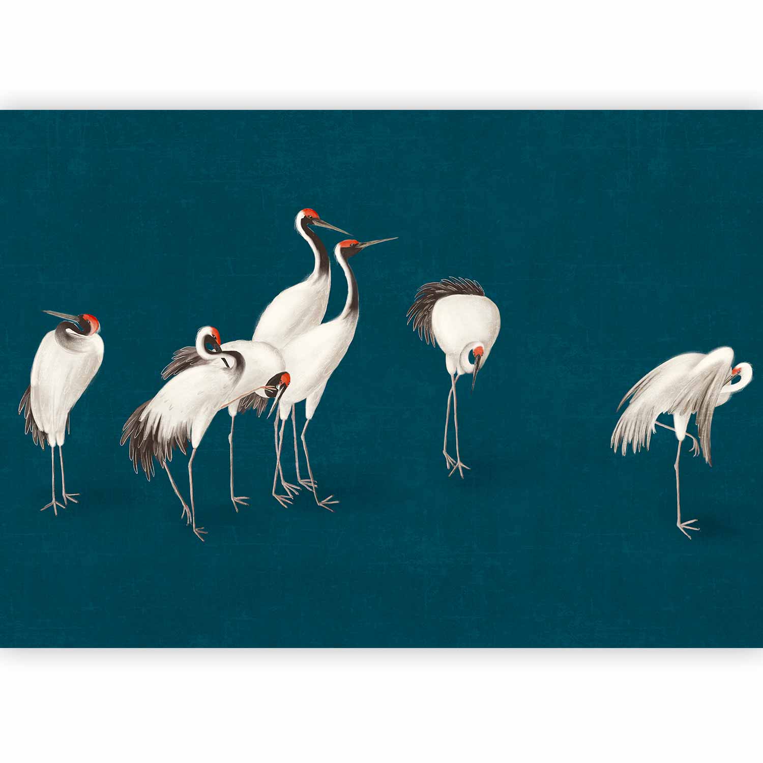 Premium Animal Wall Mural - Evening By The Pond - A Group Of Cranes Drawn In Dry Pastel On A Dark Turquoise Background