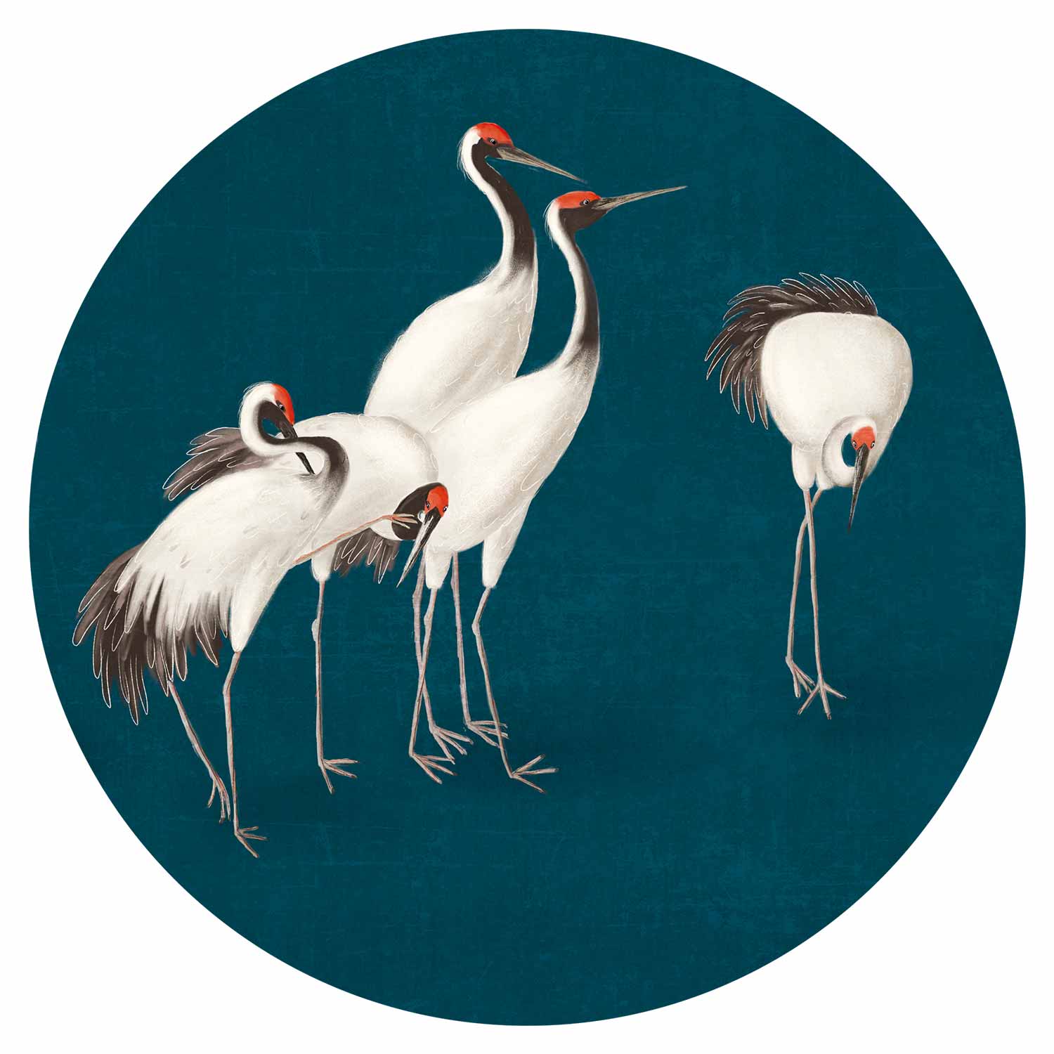 Round Wall Mural - Evening By The Pond - A Group Of Cranes Drawn In Dry Pastel On A Dark Turquoise Background