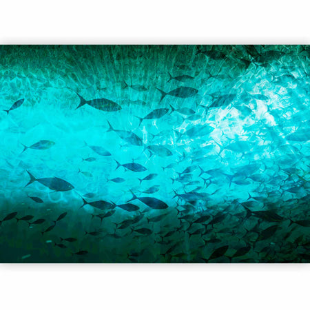 Premium Animal Wall Mural - A Shoal Of Dark Fish
