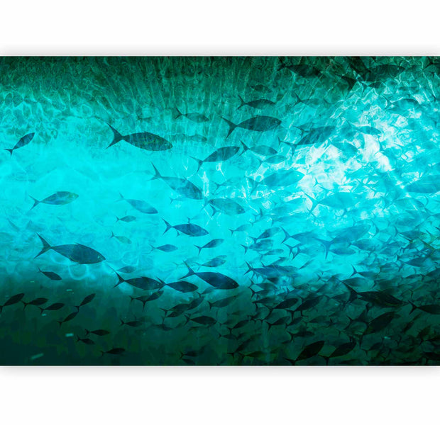 Premium Animal Wall Mural - A Shoal Of Dark Fish