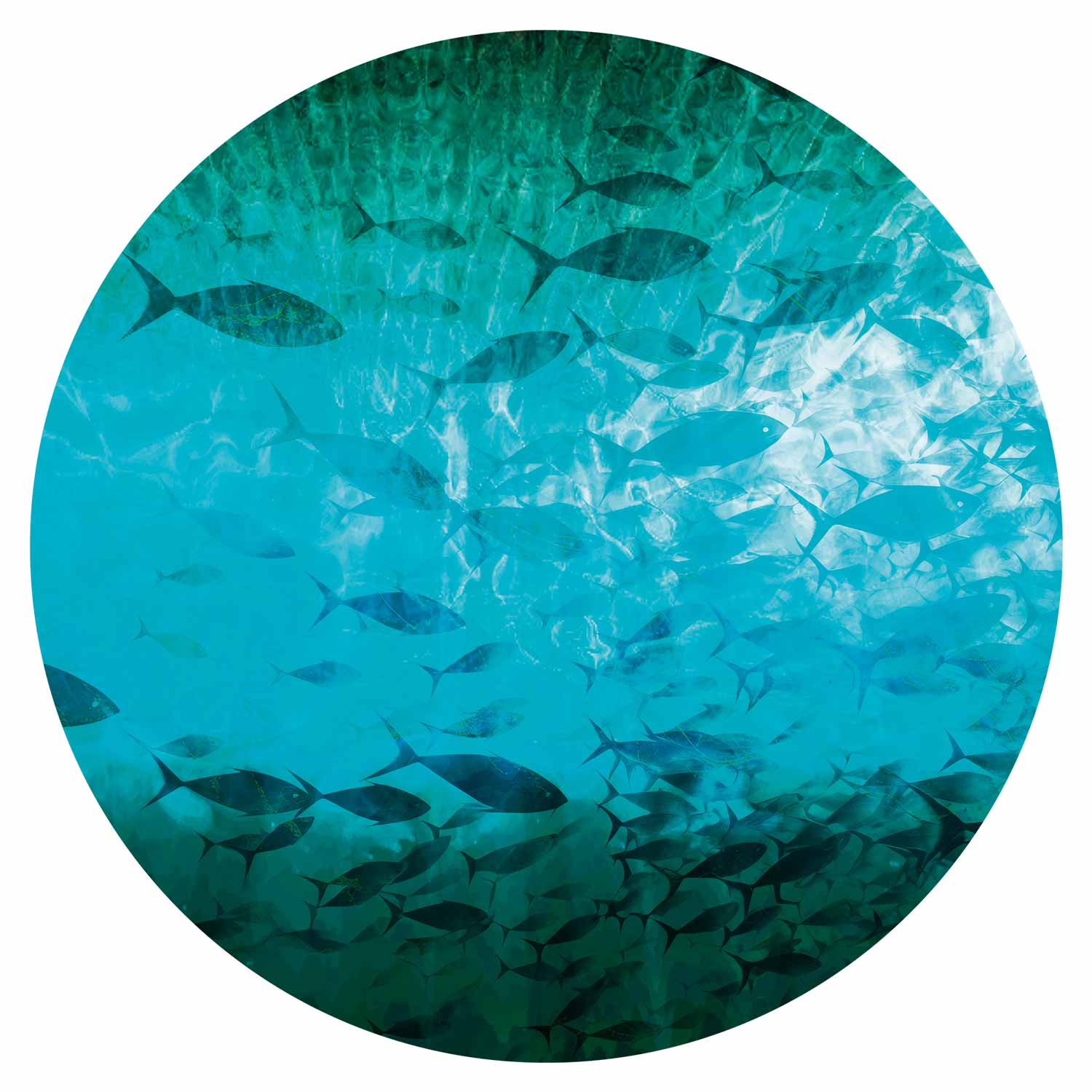 Round Wall Mural - A Shoal Of Dark Fish