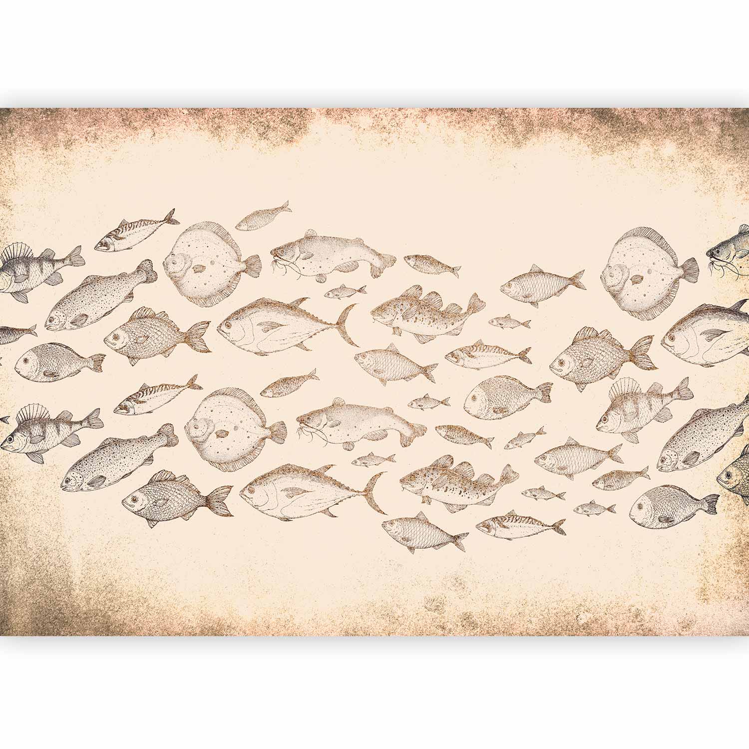 Premium Animal Wall Mural - Subtle Fish