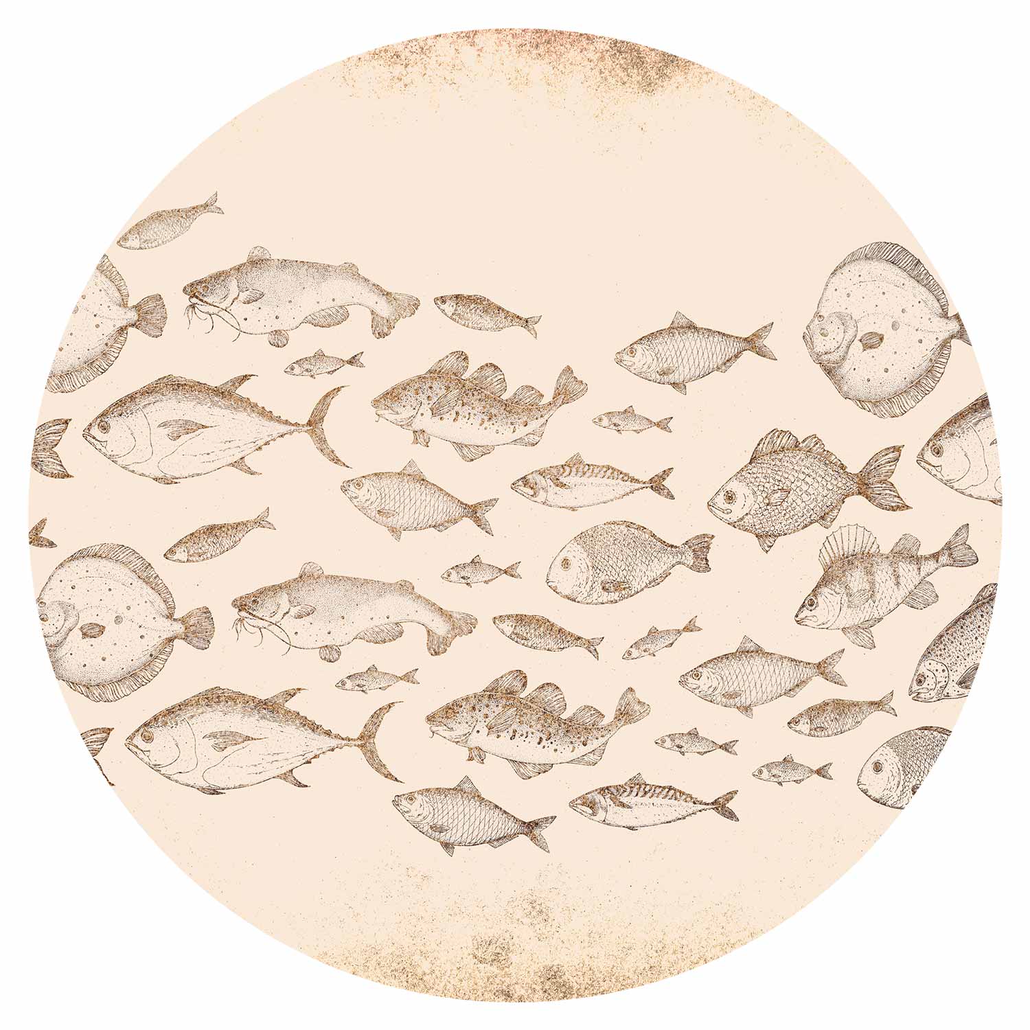 Round Wall Mural - Subtle Fish