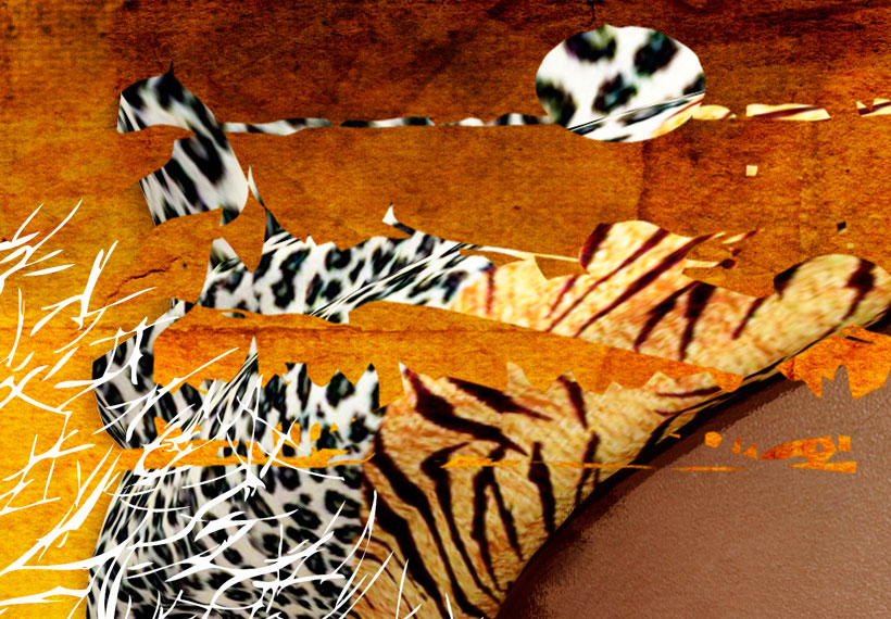 Stretched Canvas Wall Art - Africa Collage