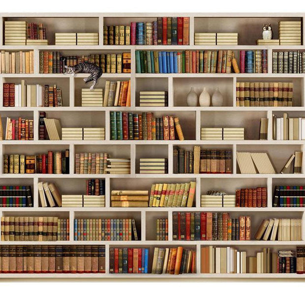 Hobby Wallpaper Wall Mural - Home Library