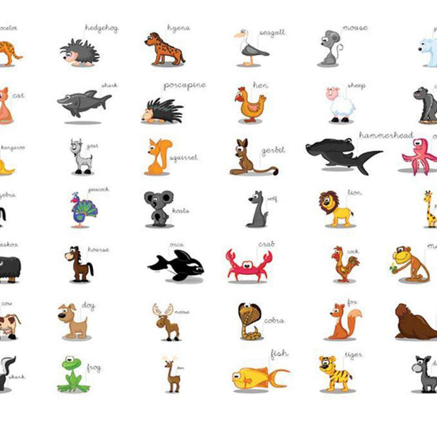 Kids Wallpaper Wall Mural - Learning By Playing Animals