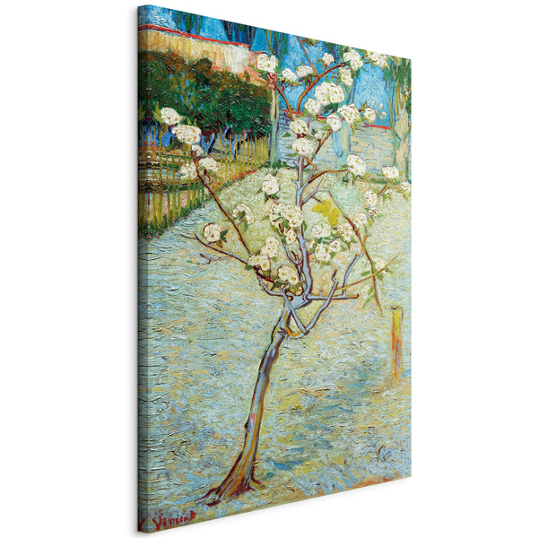 Reproduction Canvas Wall Art - Blossoming Pear Tree