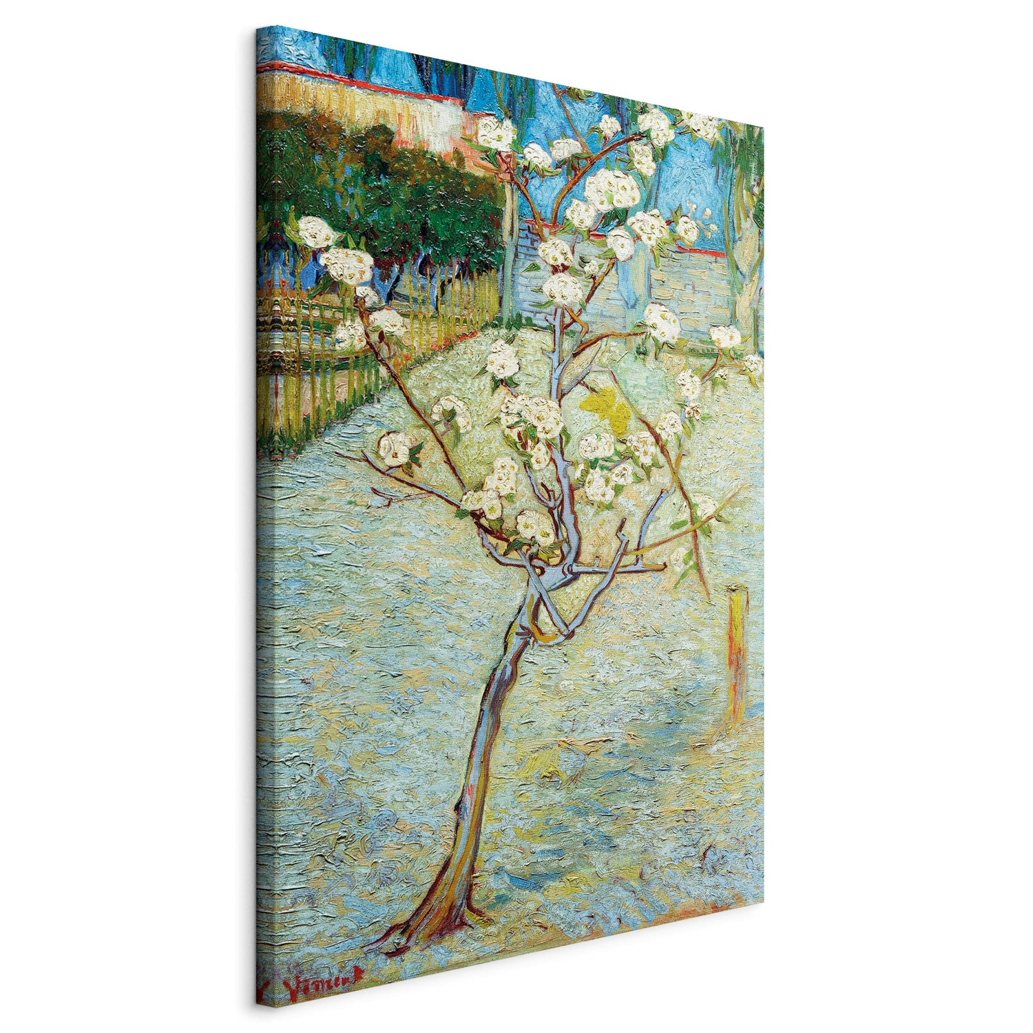 Reproduction Canvas Wall Art - Blossoming Pear Tree
