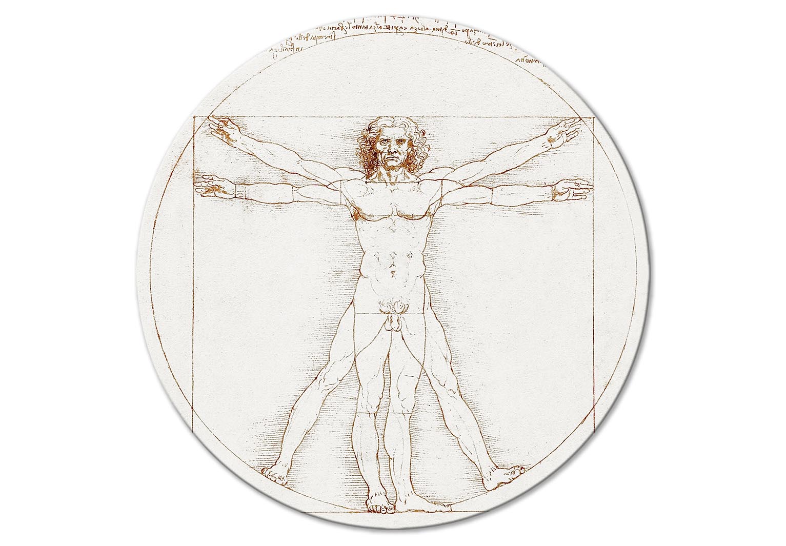 Round Canvas Print - Vitruvian Man by Leonardo Da Vinci - A Drawing of the Proportions of a Man’s Body