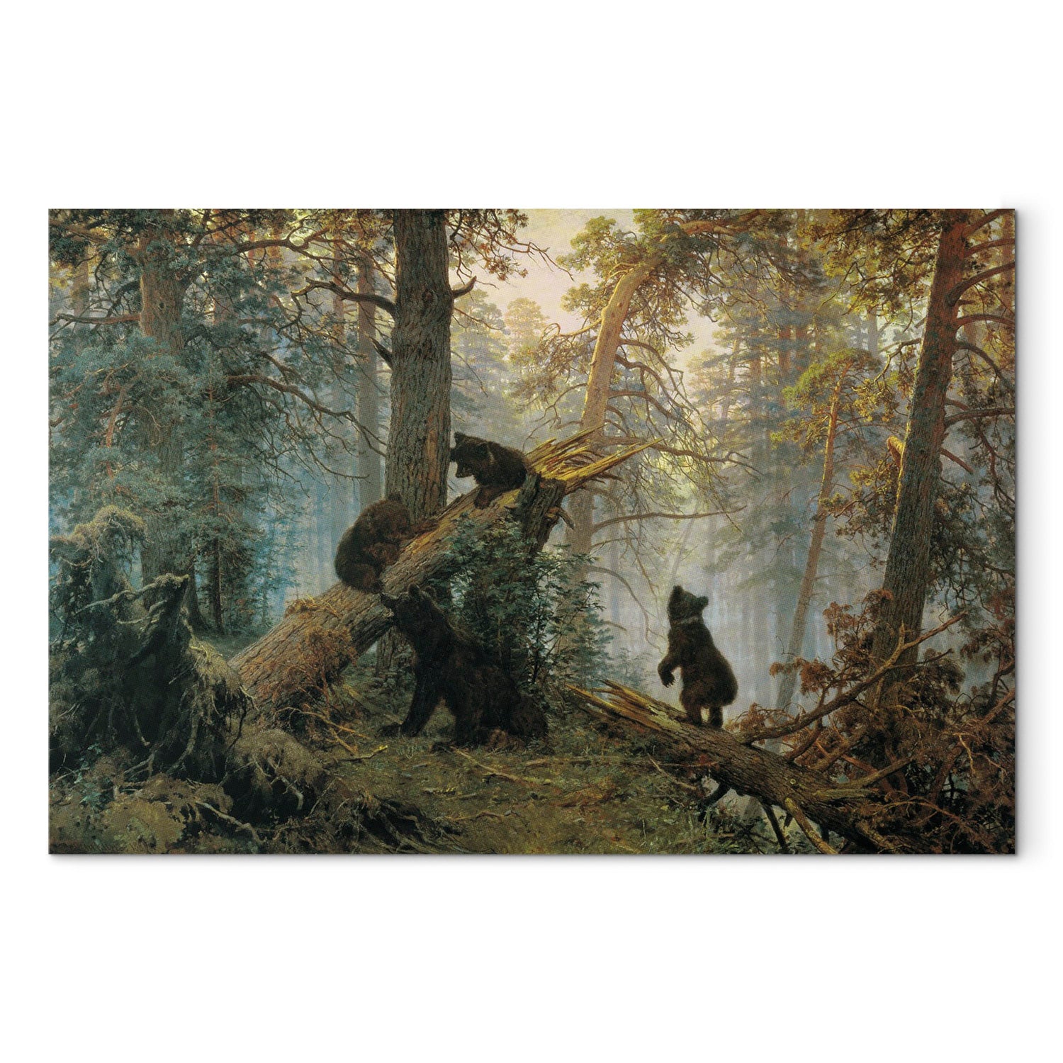 Reproduction Canvas Wall Art - Morning in a Pine Forest