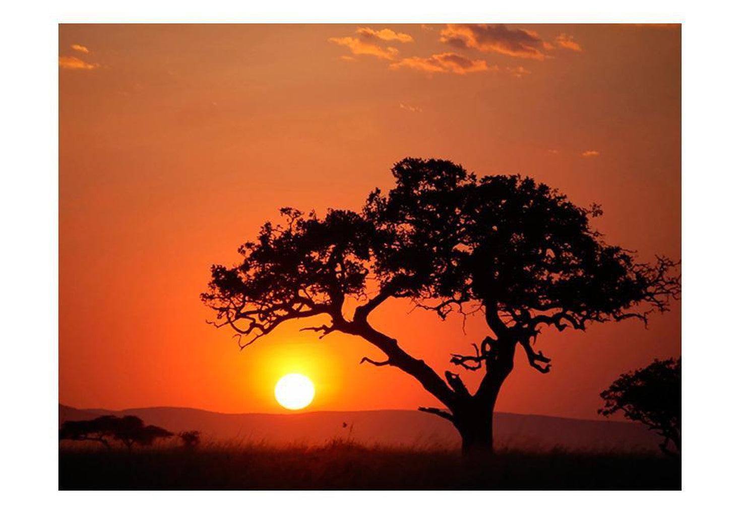 Landscape Wallpaper Wall Mural - Africa: Sunset