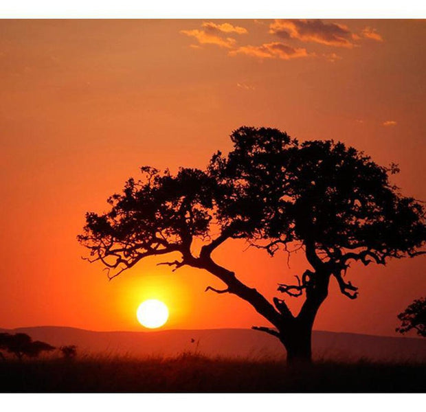 Landscape Wallpaper Wall Mural - Africa: Sunset